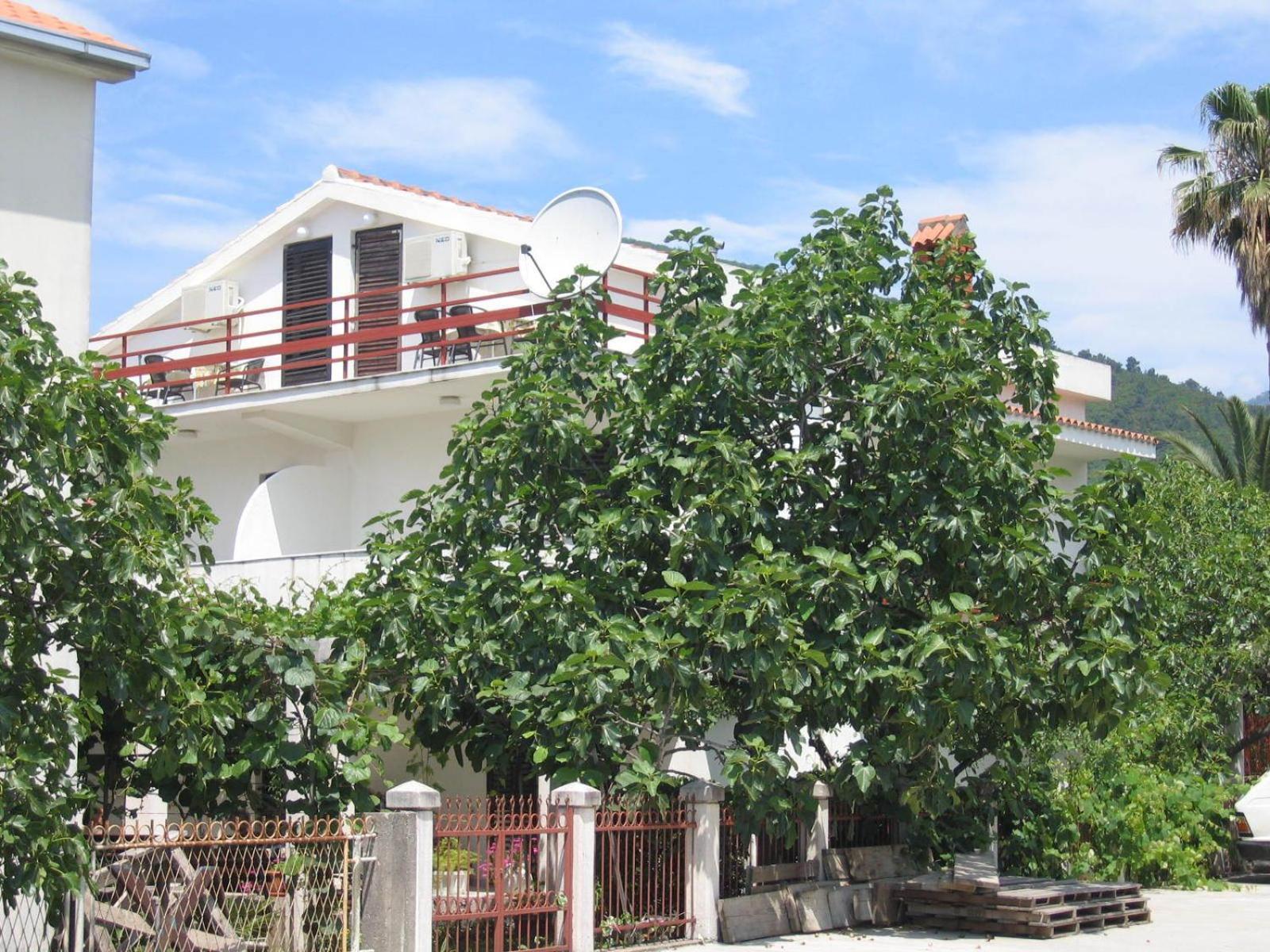 Franeta Apartments Budva Exterior photo